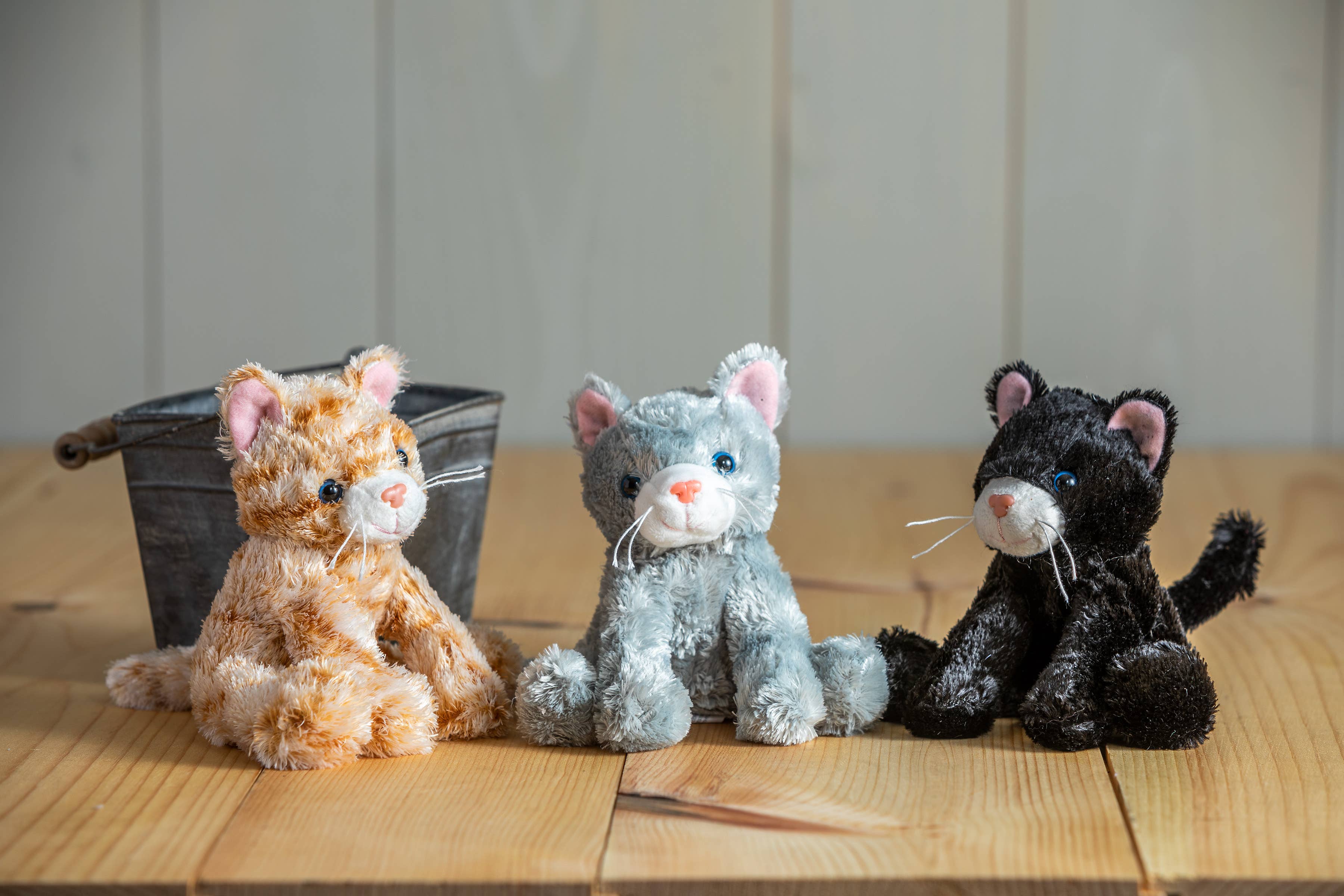 Mary Meyer - Catsy Kitty Assorted