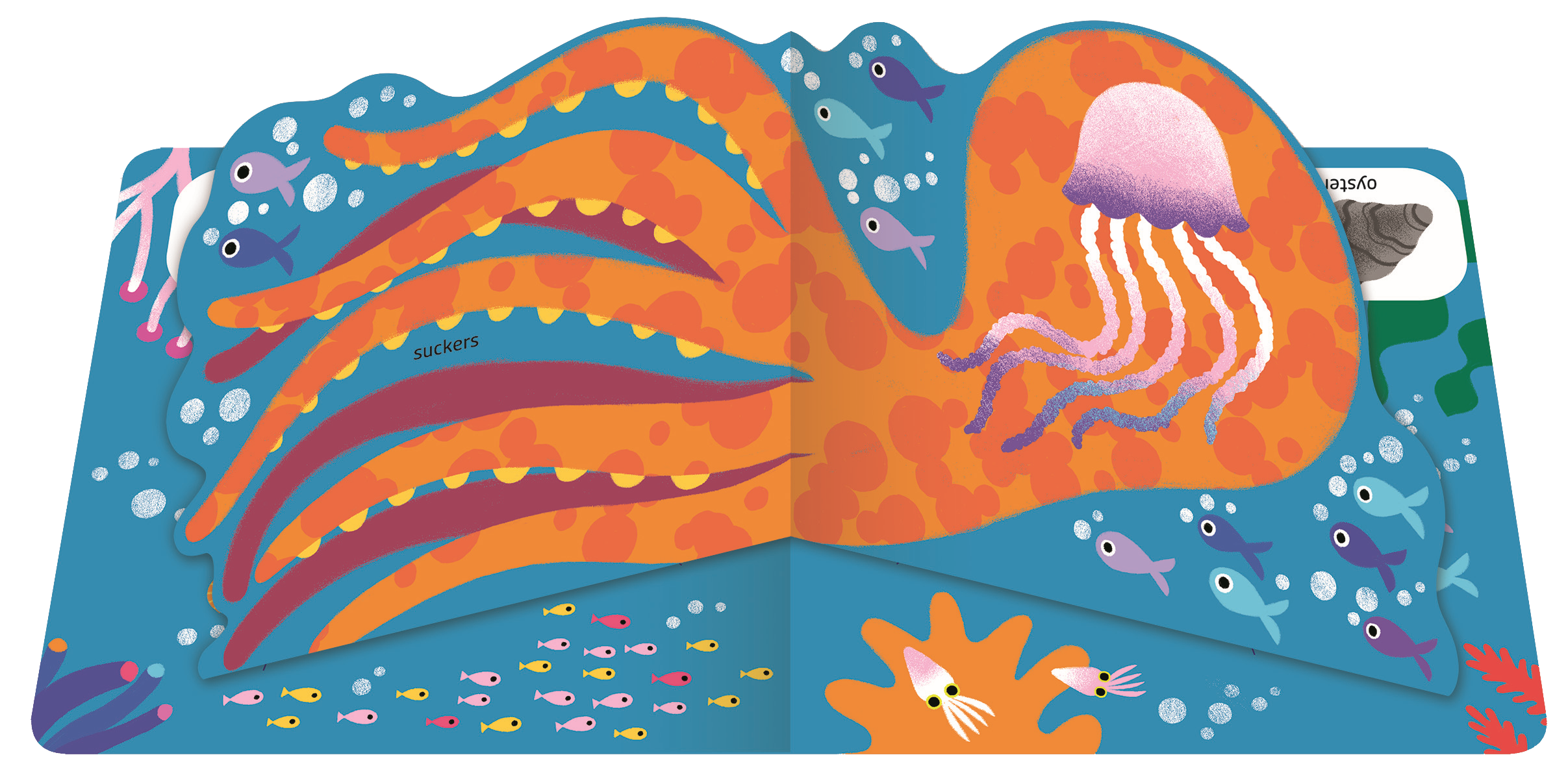 EDC Publishing - Pop Pop Pop: By the Sea