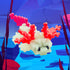 Plus-Plus USA - Tube - Axolotl