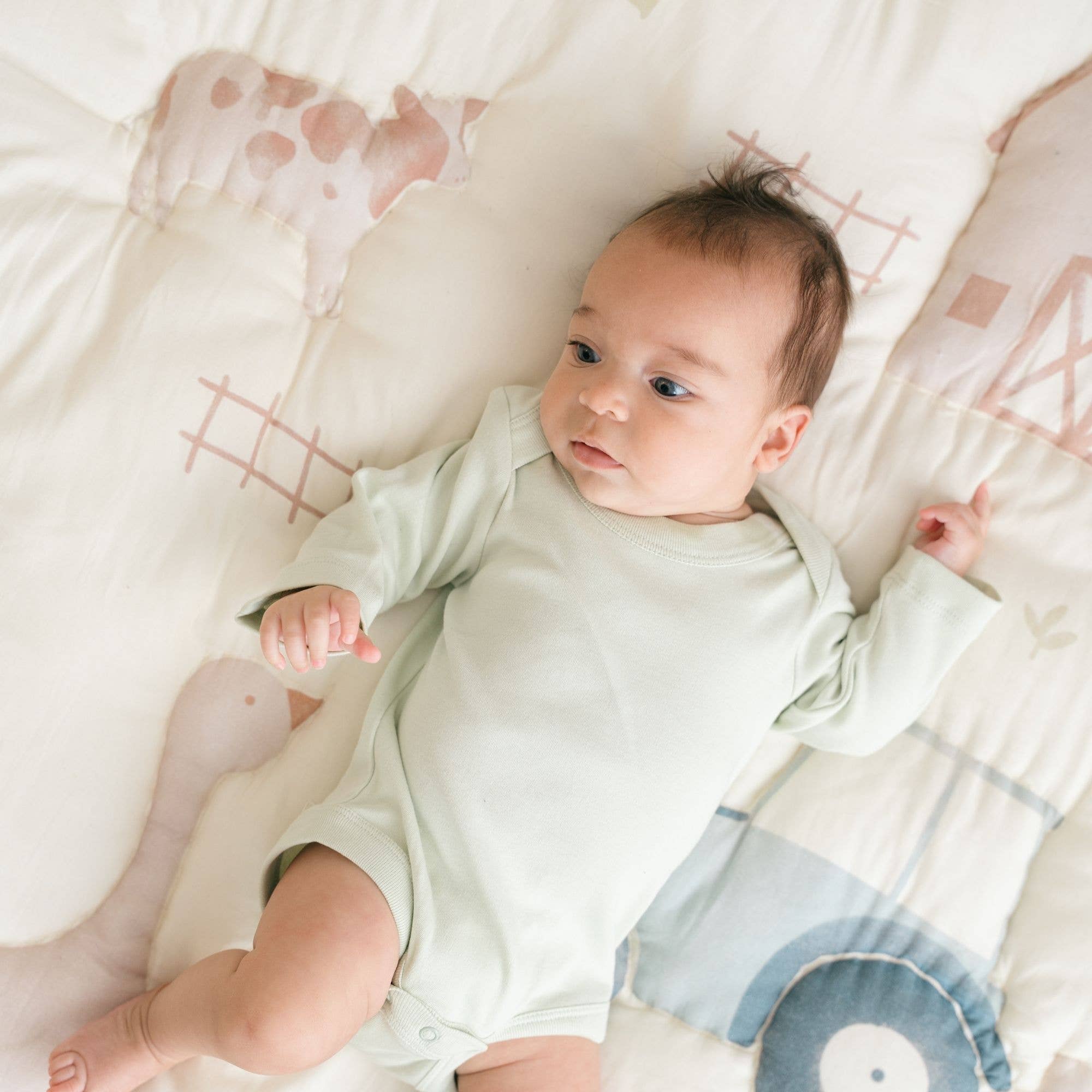 Crane Baby - Charlie Farmhouse Quilted Play Mat