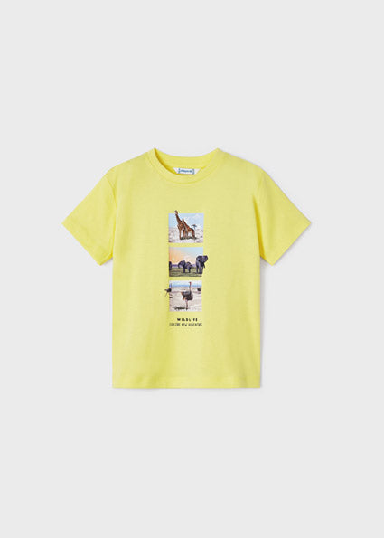 Wildlife T-shirt- Pineapple