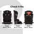 Diono Cambria 2 - 2-in-1 Belt Positioning Booster Seat Rental