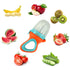 RaZ Fruit Feeder & Teether