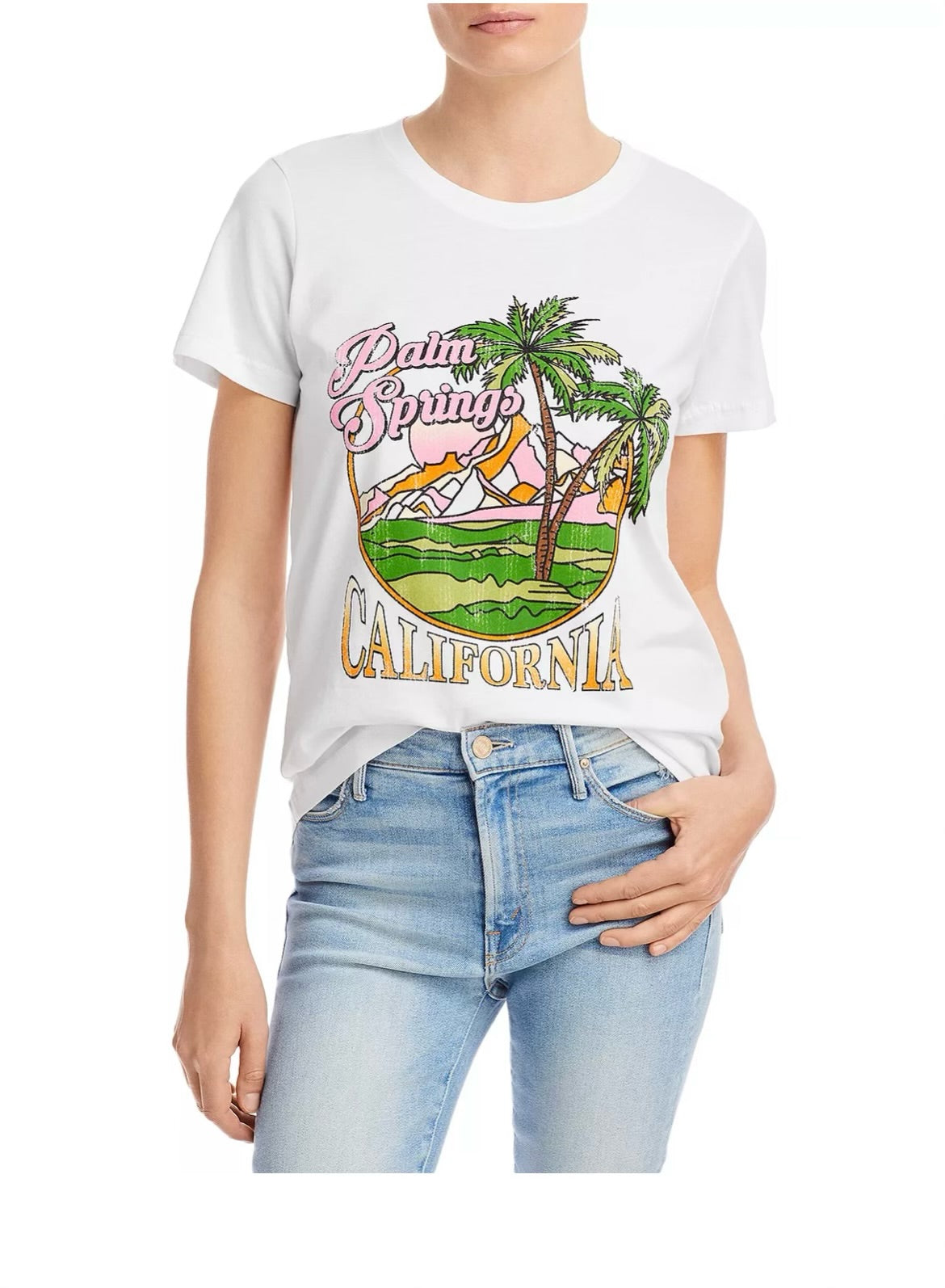 Palm Springs California Adult Crew T-Shirt
